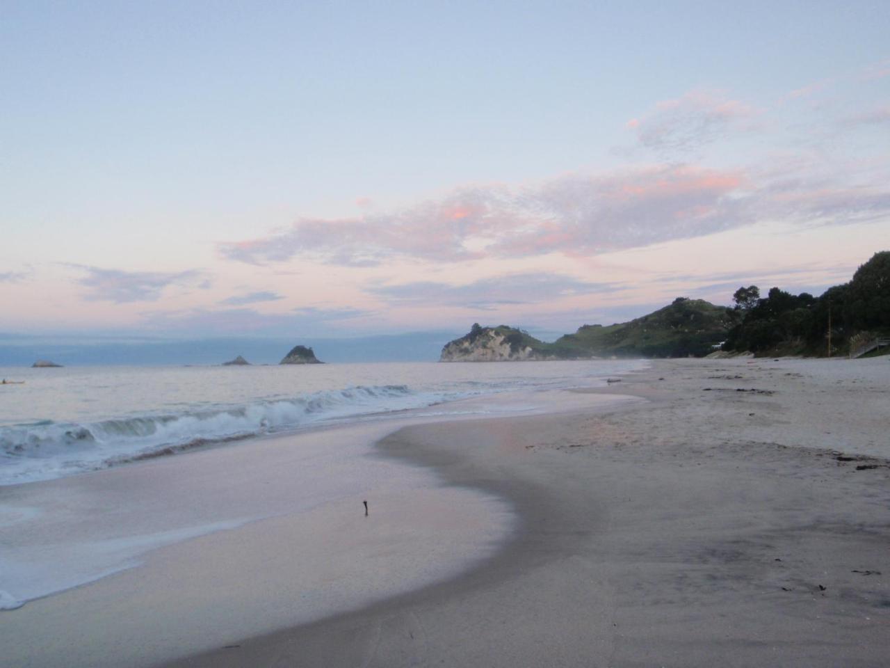 Beach Front:Palms-On-The-Beach.Kaiteriteri. Exterior foto